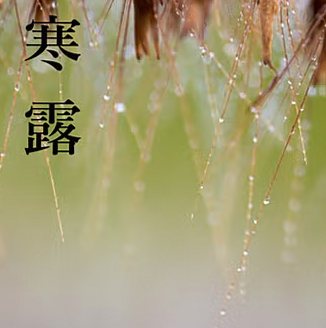 寒露 寒露|二十四節気 神無月