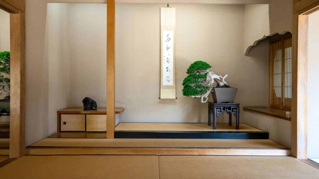 掛け軸と盆栽を飾った床の間(イメージ) 掛け軸と盆栽を飾った床の間(イメージ)